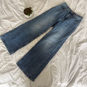 Everlane Denim Wide Leg Ankle Jeans, Size 25